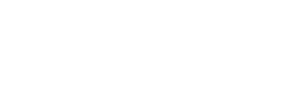 3D to 2D Vector Export Challenges